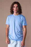 Jules Distressed T-shirt - Chambray