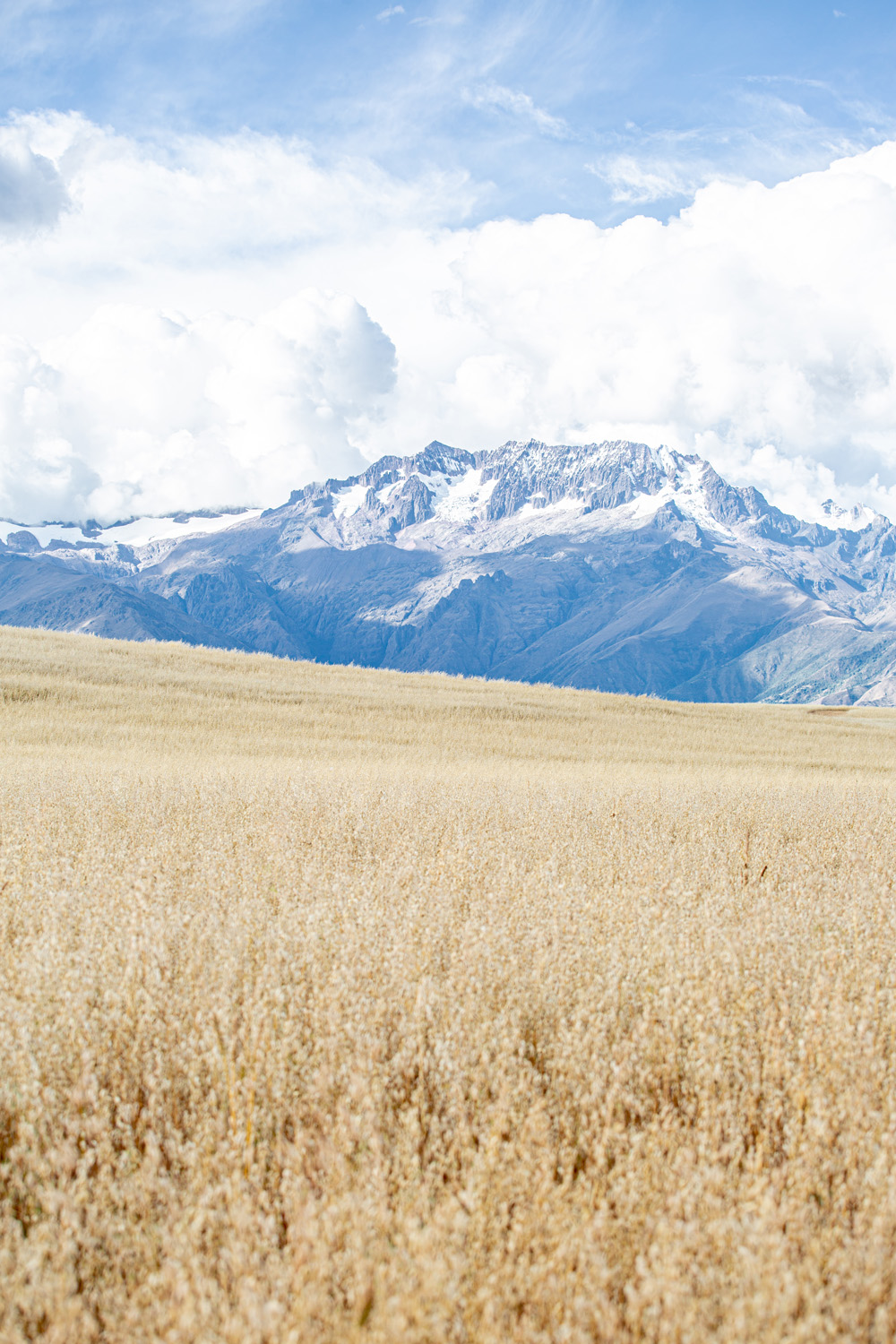 Montagne péruvienne Anonym Apparel