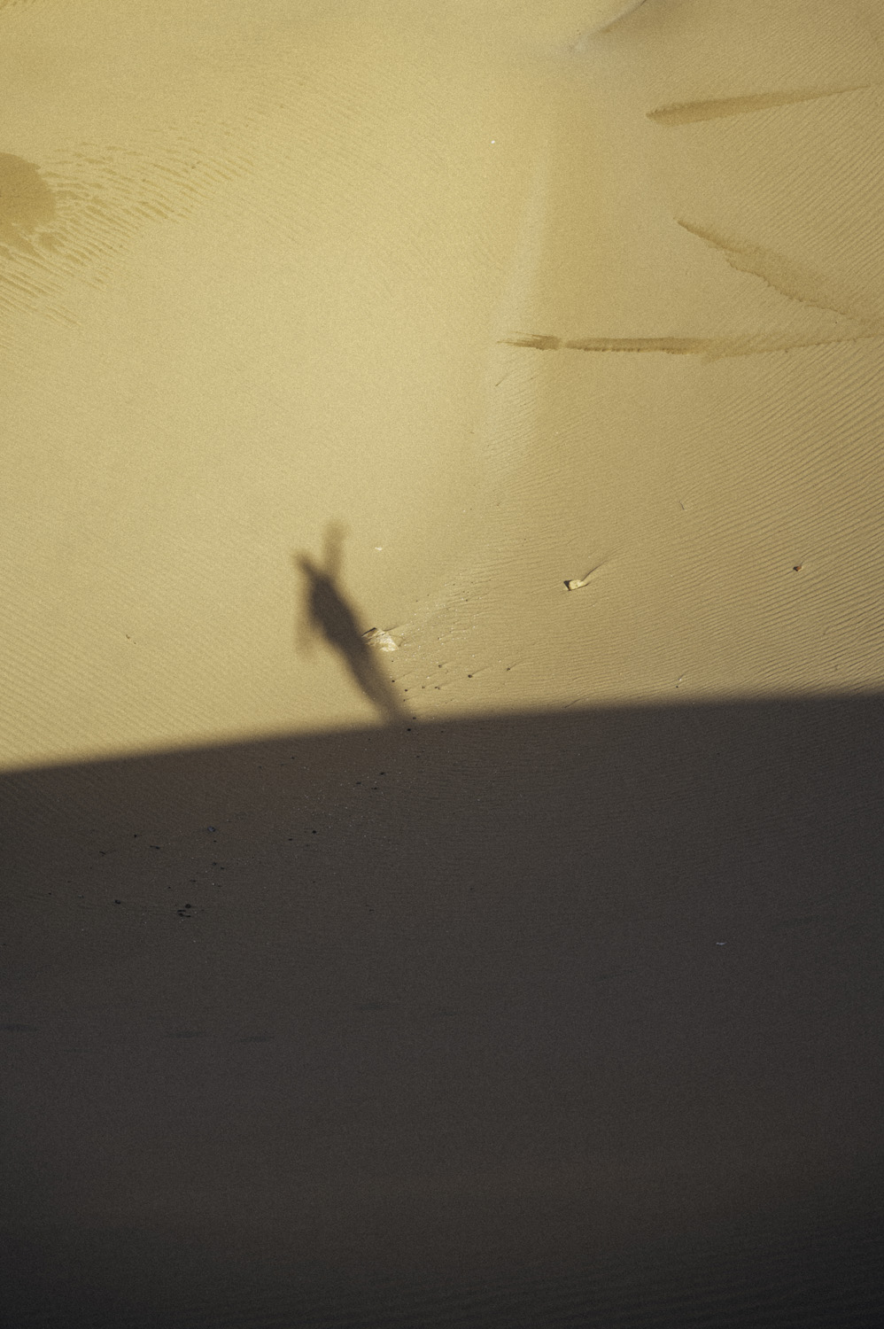 Sebchebassier Anonym Maroc 156