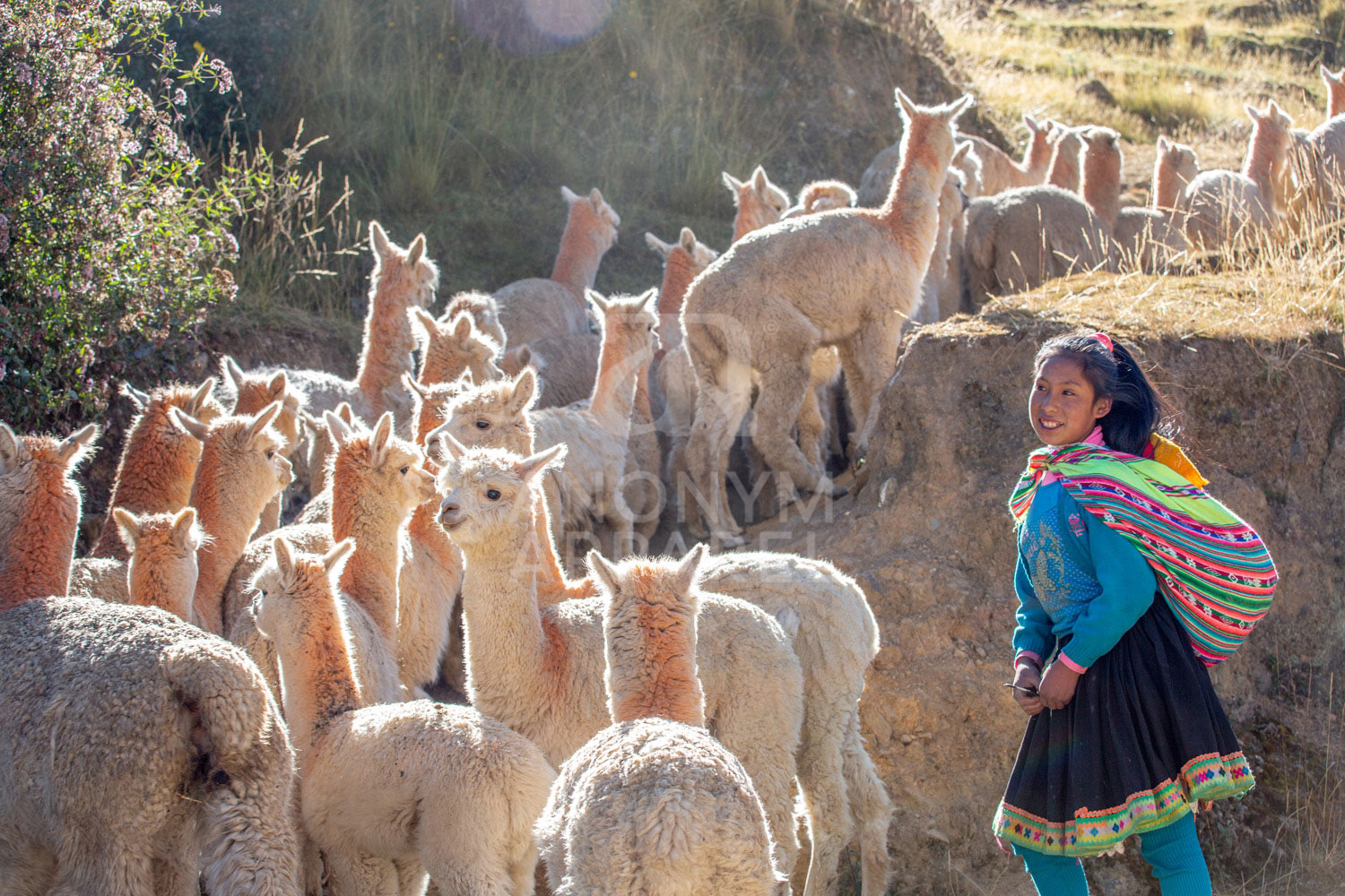 Altiplano Quechuas Anonymapparel Elegantdesign