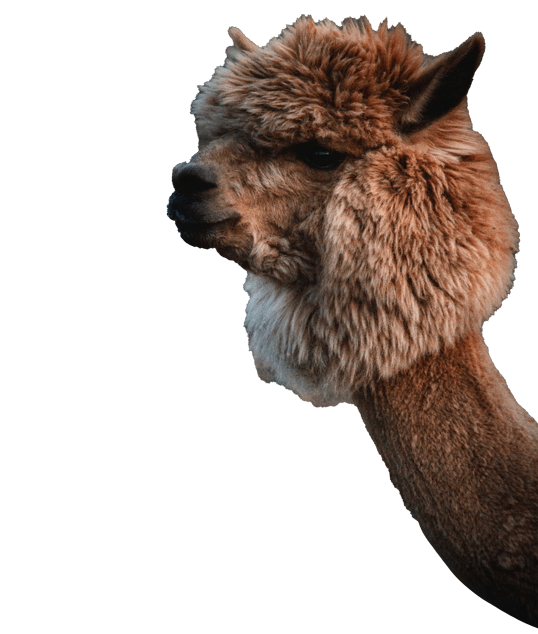 Superfinealpaca