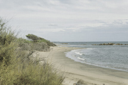 Seb Chebassier Anonym Camargue 25